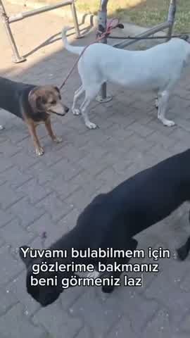 Shot 10 frame 1