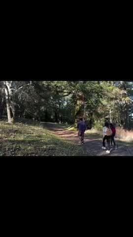 Shot 4 frame 1