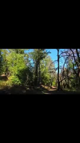 Shot 10 frame 1