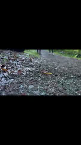 Shot 14 frame 1