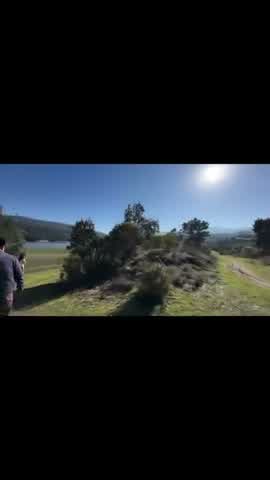 Shot 15 frame 1