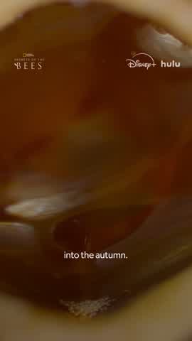 Shot 13 frame 1