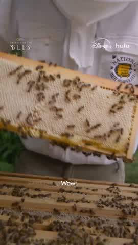 Shot 15 frame 1