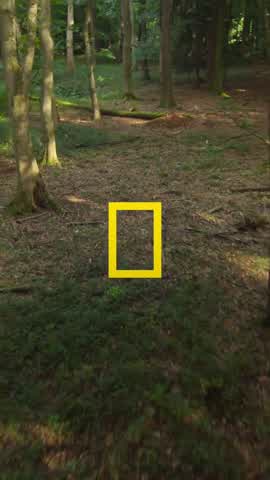 Shot 17 frame 1