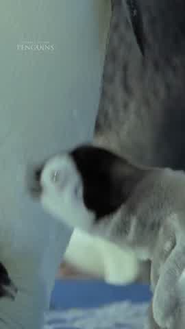 Shot 4 frame 1