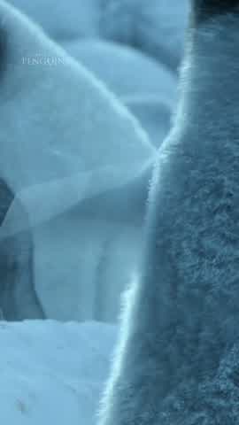 Shot 10 frame 1