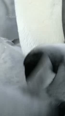 Shot 11 frame 1
