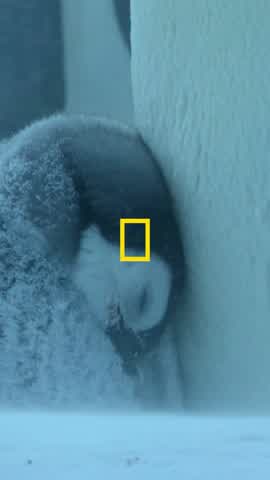 Shot 13 frame 1