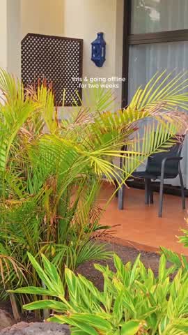 Shot 17 frame 1