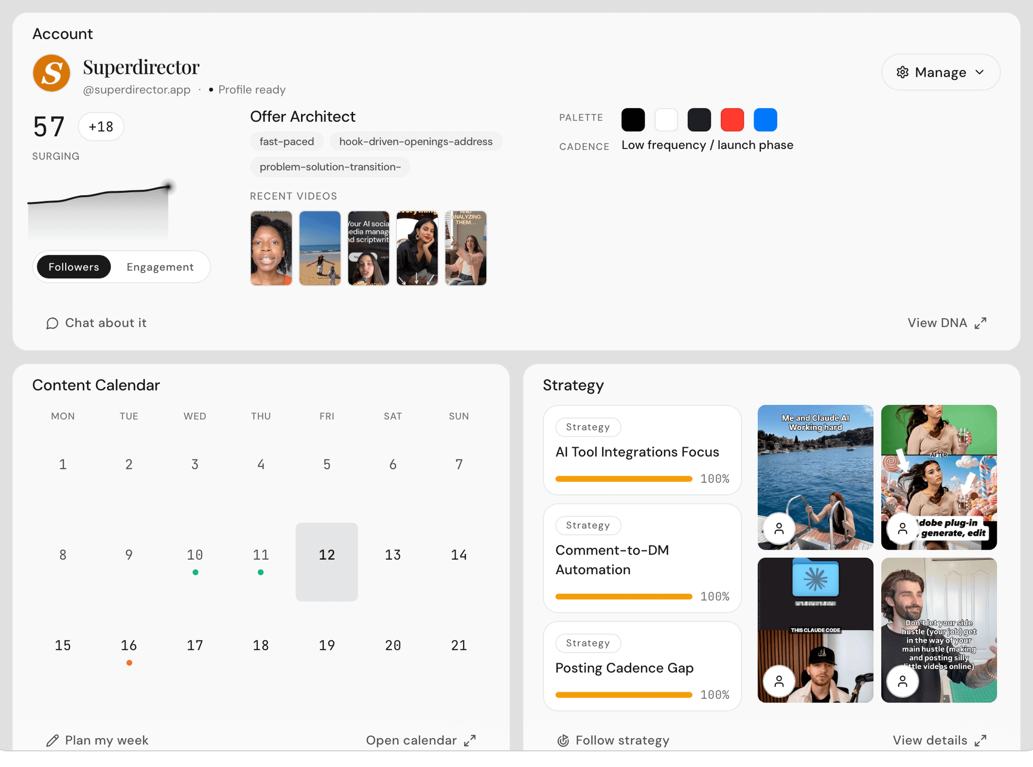 The Overview panel showing the account card, planner, and strategy cards for one brand